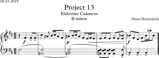 Project 13 B minor screen